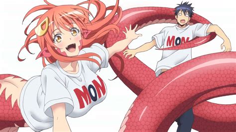 monster musume.|monster musume japanese.